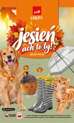 Polomarket Jesień